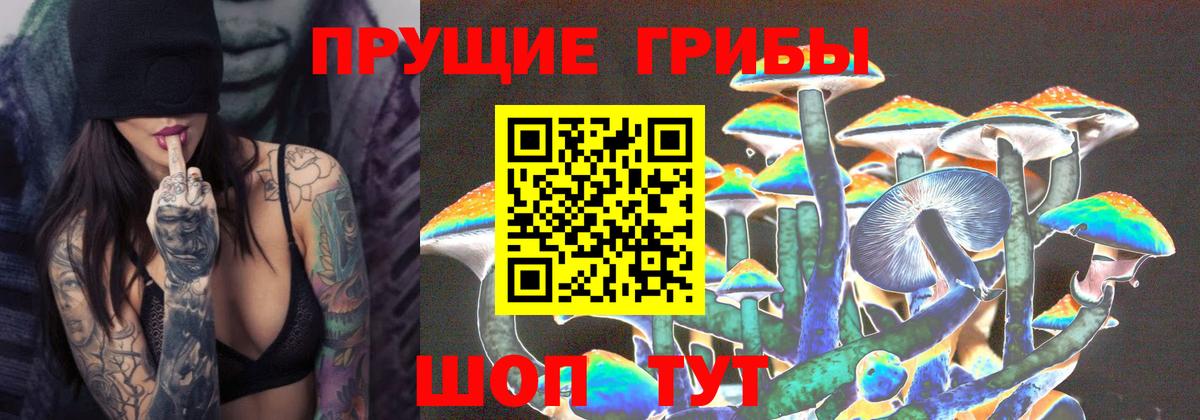 Лабинск  Псилоцибиновые грибы мухоморы  Вход с VPN 